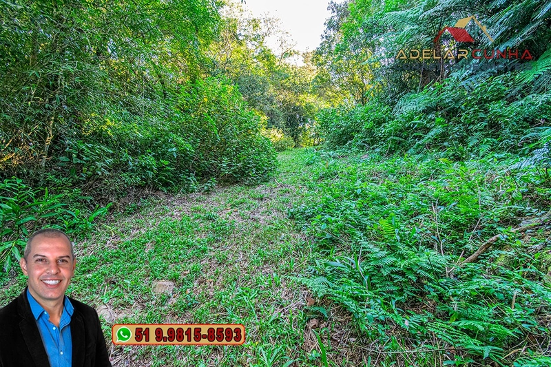 Chácara de 6 hectares à Venda em Nova Hartz – RS: 65ª foto da galeria de imagens do imóvel