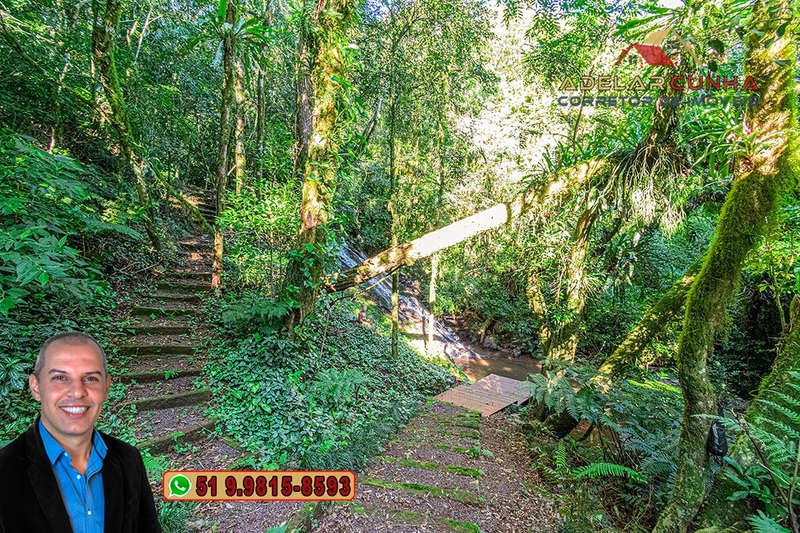 Chácara de 6 hectares à Venda em Nova Hartz – RS: 58ª foto da galeria de imagens do imóvel