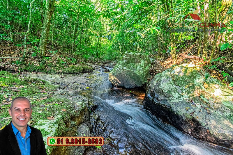 Chácara de 6 hectares à Venda em Nova Hartz – RS: 61ª foto da galeria de imagens do imóvel