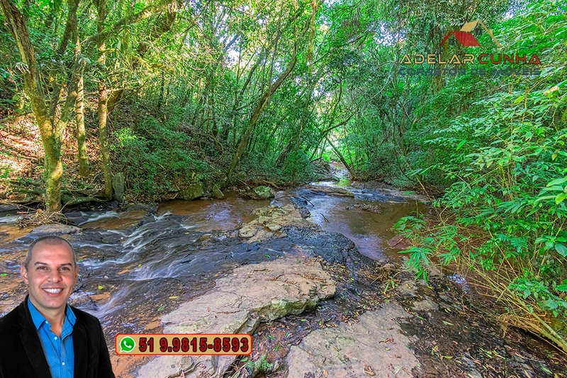 Chácara de 6 hectares à Venda em Nova Hartz – RS: 69ª foto da galeria de imagens do imóvel