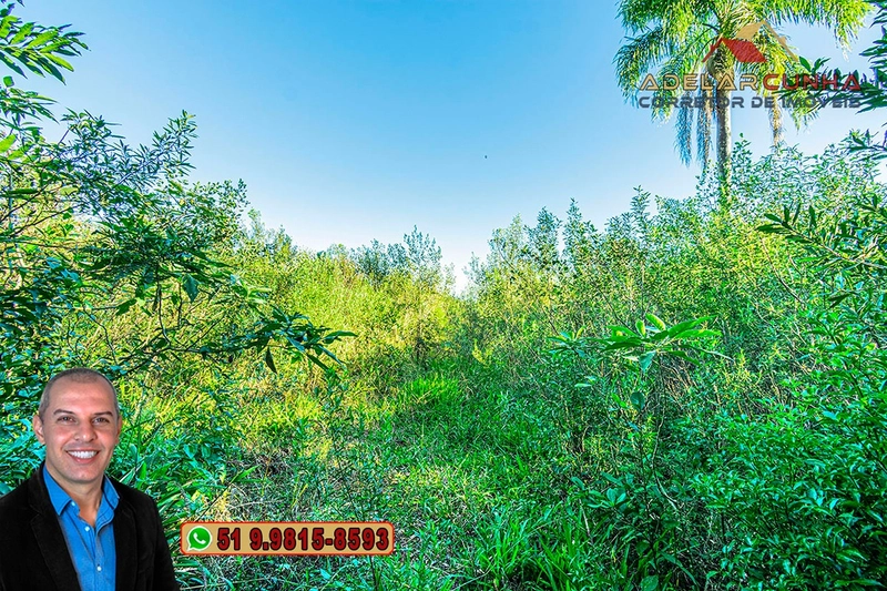 Chácara de 6 hectares à Venda em Nova Hartz – RS: 75ª foto da galeria de imagens do imóvel