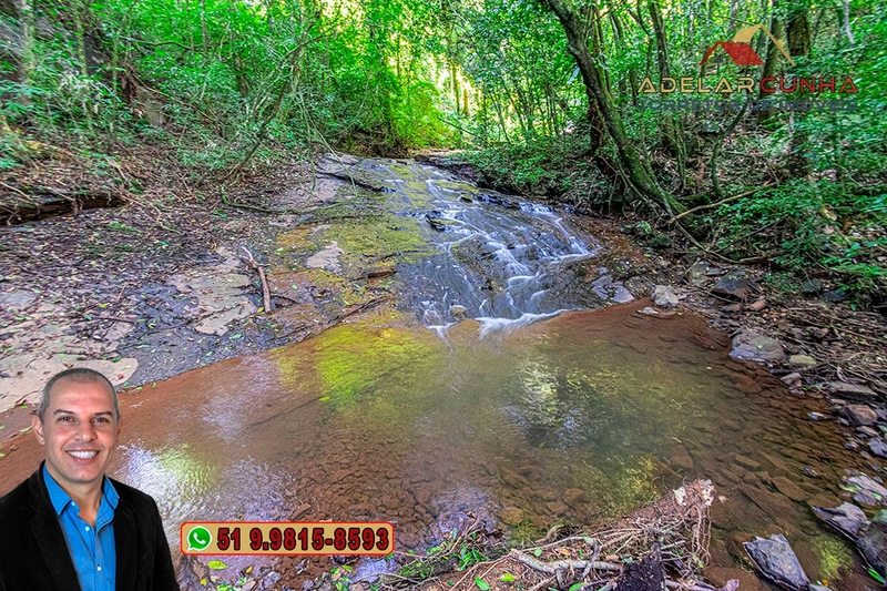Chácara de 6 hectares à Venda em Nova Hartz – RS: 70ª foto da galeria de imagens do imóvel