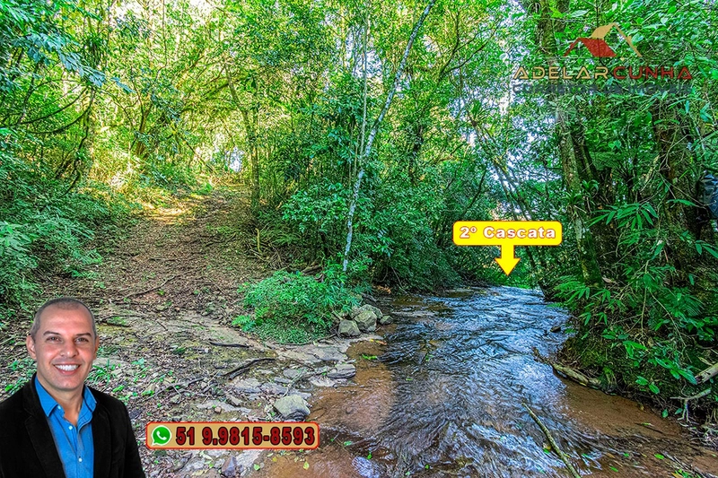 Chácara de 6 hectares à Venda em Nova Hartz – RS: 72ª foto da galeria de imagens do imóvel