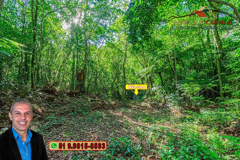 Chácara de 6 hectares à Venda em Nova Hartz – RS: 73ª foto da galeria de imagens do imóvel