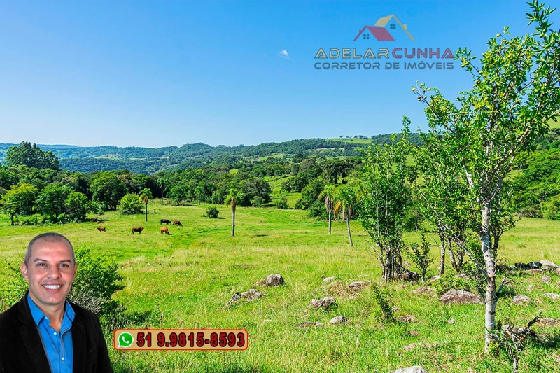 Sítio de 10 hectares à Venda em Igrejinha - RS: 30ª foto da galeria de imagens do imóvel