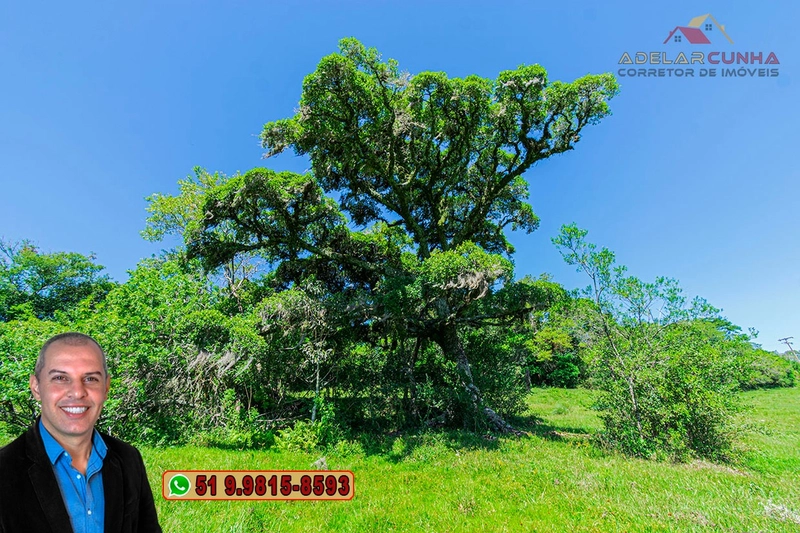 Sítio de 10 hectares à Venda em Igrejinha - RS: 21ª foto da galeria de imagens do imóvel
