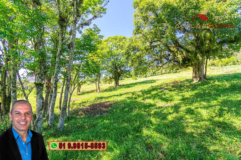 Sítio de 10 hectares à Venda em Igrejinha - RS: 26ª foto da galeria de imagens do imóvel