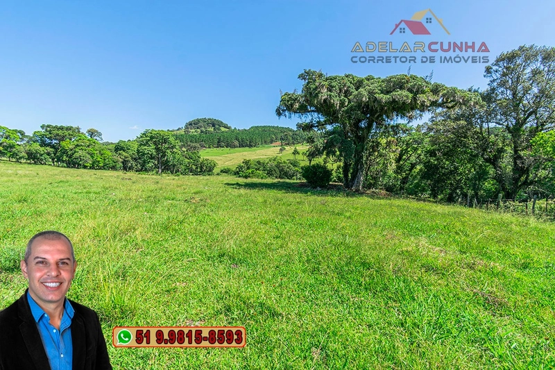 Sítio de 10 hectares à Venda em Igrejinha - RS: 16ª foto da galeria de imagens do imóvel