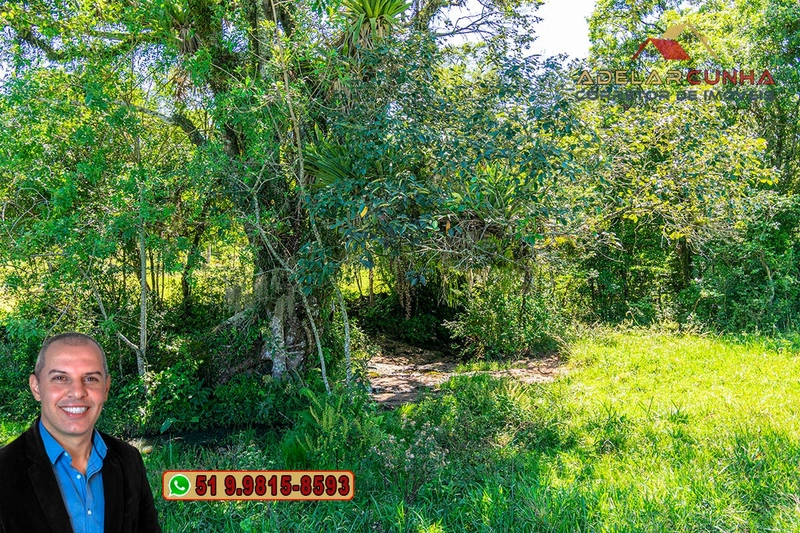 Sítio de 10 hectares à Venda em Igrejinha - RS: 11ª foto da galeria de imagens do imóvel