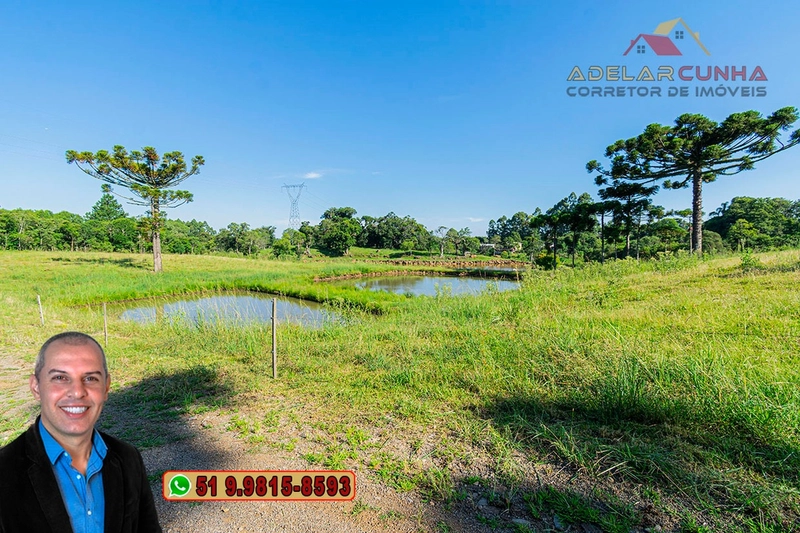 Sítio 6.8 hectares à VENDA em Serra Grande - Gramado - RS: 4ª foto da galeria de imagens do imóvel