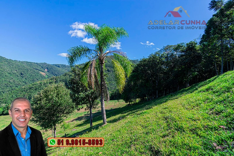 LOTE 01: Chácara de 2.5 hectares com Riacho, À VENDA em Gramado – RS: 40ª foto da galeria de imagens do imóvel