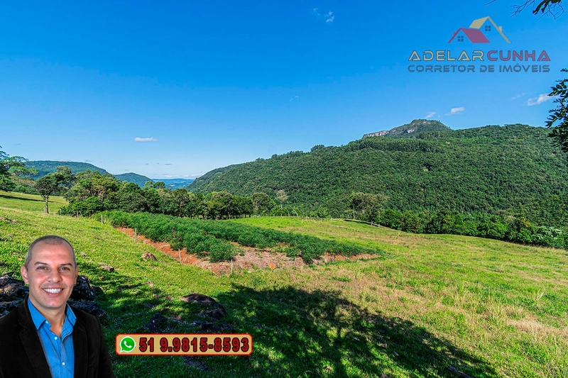 LOTE 01: Chácara de 2.5 hectares com Riacho, À VENDA em Gramado – RS: 5ª foto da galeria de imagens do imóvel