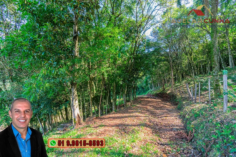 LOTE 01: Chácara de 2.5 hectares com Riacho, À VENDA em Gramado – RS: 34ª foto da galeria de imagens do imóvel