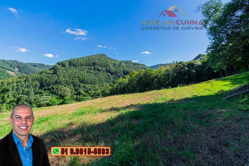 LOTE 01: Chácara de 2.5 hectares com Riacho, À VENDA em Gramado – RS: 7ª foto da galeria de imagens do imóvel