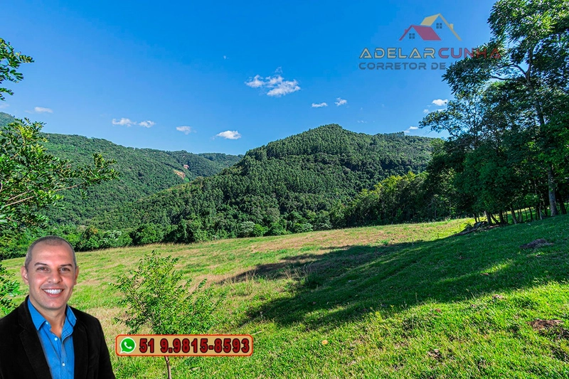 LOTE 01: Chácara de 2.5 hectares com Riacho, À VENDA em Gramado – RS: 6ª foto da galeria de imagens do imóvel