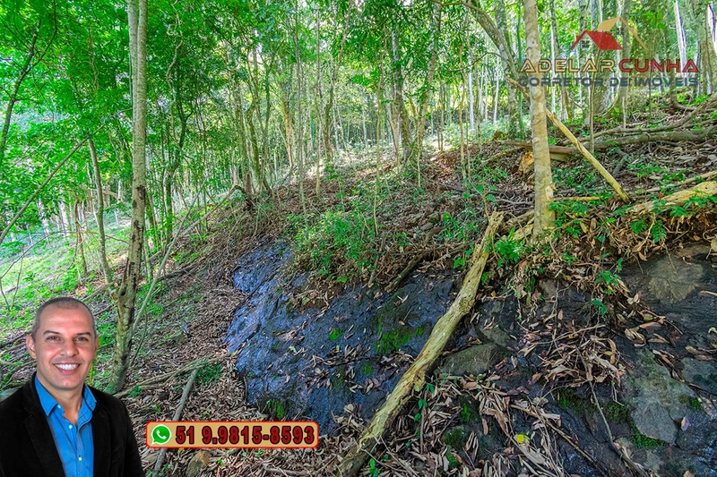 LOTE 01: Chácara de 2.5 hectares com Riacho, À VENDA em Gramado – RS: 39ª foto da galeria de imagens do imóvel