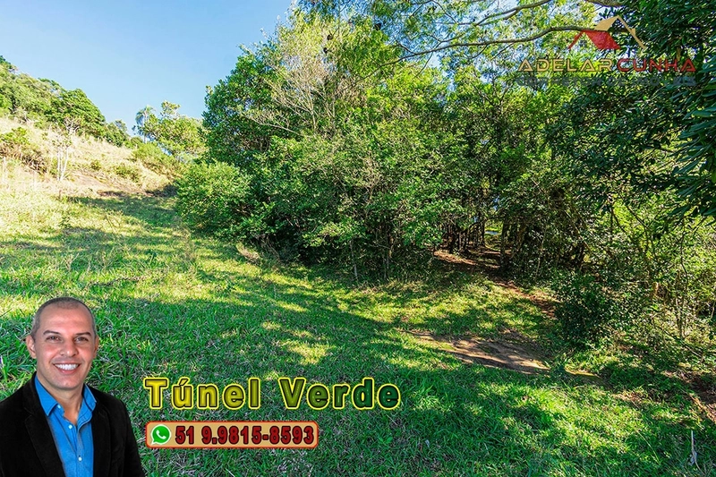 Chácara com 4.8 hectares à VENDA em Lomba Grande - Novo Hamburgo - RS: 7ª foto da galeria de imagens do imóvel