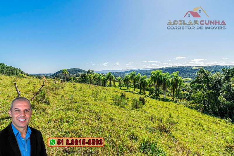 Chácara com 4.8 hectares à VENDA em Lomba Grande - Novo Hamburgo - RS: 8ª foto da galeria de imagens do imóvel