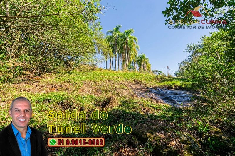 Chácara com 4.8 hectares à VENDA em Lomba Grande - Novo Hamburgo - RS: 6ª foto da galeria de imagens do imóvel