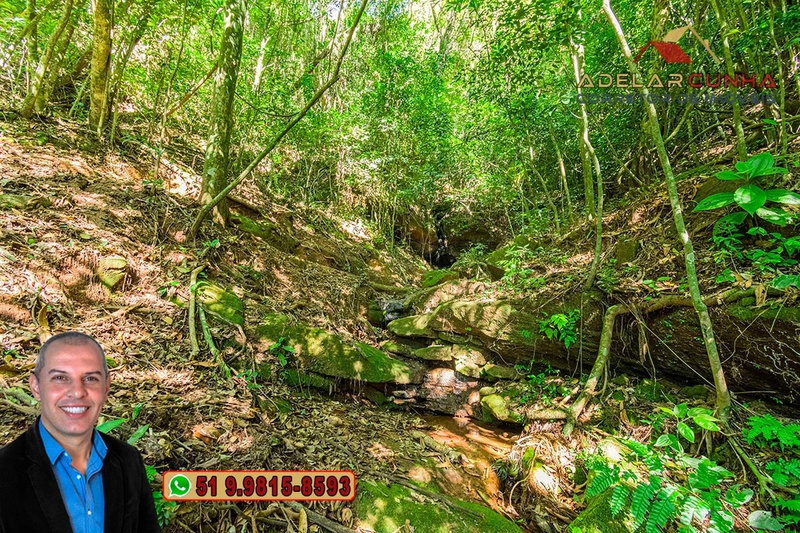 Chácara com 4.8 hectares à VENDA em Lomba Grande - Novo Hamburgo - RS: 34ª foto da galeria de imagens do imóvel