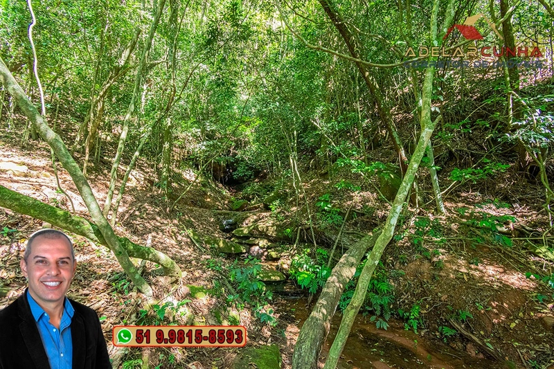 Chácara com 4.8 hectares à VENDA em Lomba Grande - Novo Hamburgo - RS: 33ª foto da galeria de imagens do imóvel