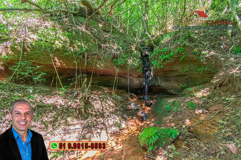 Chácara com 4.8 hectares à VENDA em Lomba Grande - Novo Hamburgo - RS: 36ª foto da galeria de imagens do imóvel