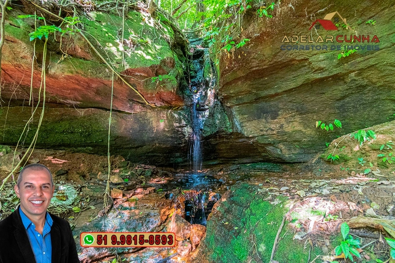 Chácara com 4.8 hectares à VENDA em Lomba Grande - Novo Hamburgo - RS: 13ª foto da galeria de imagens do imóvel