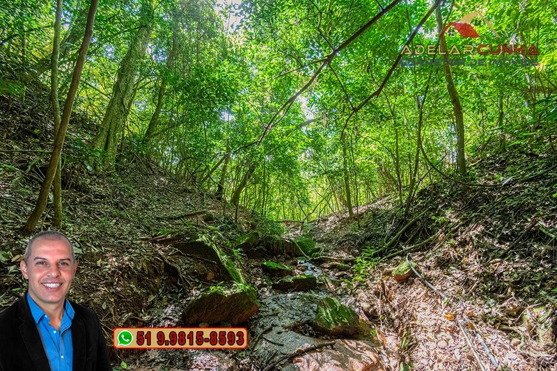Chácara com 4.8 hectares à VENDA em Lomba Grande - Novo Hamburgo - RS: 14ª foto da galeria de imagens do imóvel