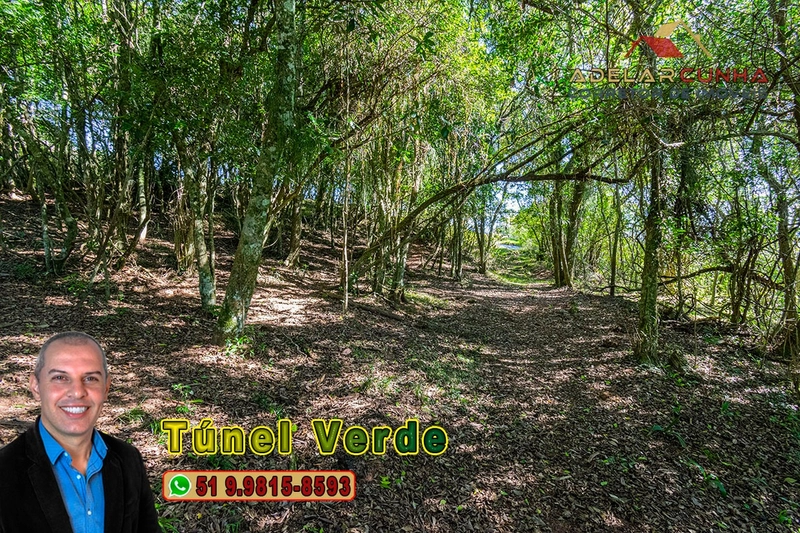 Chácara com 4.8 hectares à VENDA em Lomba Grande - Novo Hamburgo - RS: 5ª foto da galeria de imagens do imóvel