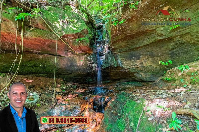 Chácara com 4.8 hectares à VENDA em Lomba Grande - Novo Hamburgo - RS: 33ª foto da galeria de imagens do imóvel