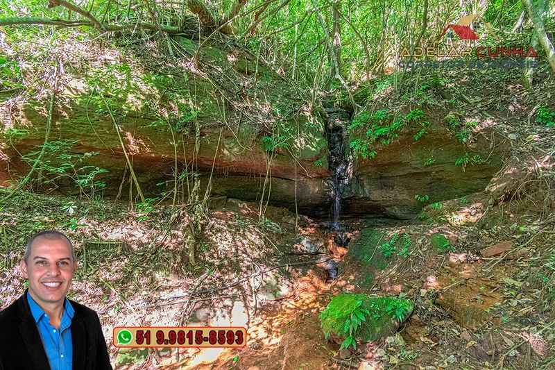 Chácara com 4.8 hectares à VENDA em Lomba Grande - Novo Hamburgo - RS: 32ª foto da galeria de imagens do imóvel