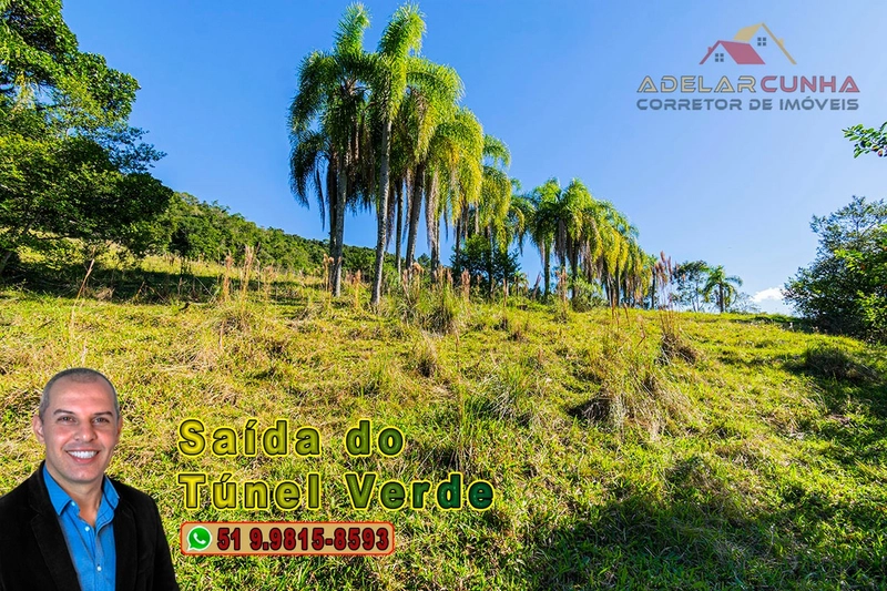 Chácara com 4.8 hectares à VENDA em Lomba Grande - Novo Hamburgo - RS: 21ª foto da galeria de imagens do imóvel