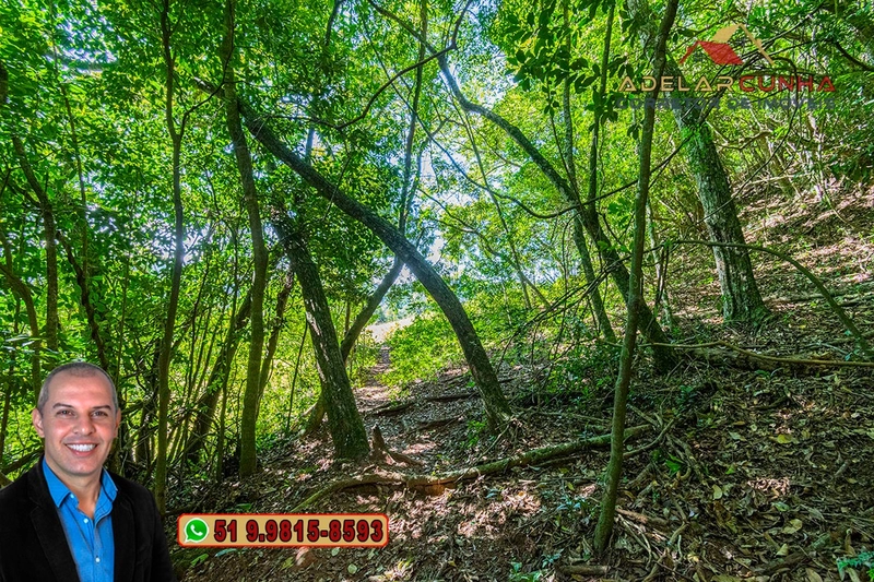 Chácara com 4.8 hectares à VENDA em Lomba Grande - Novo Hamburgo - RS: 15ª foto da galeria de imagens do imóvel