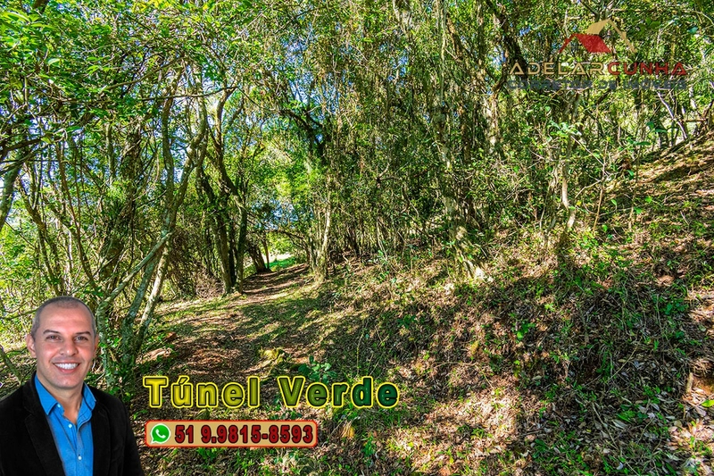 Chácara com 4.8 hectares à VENDA em Lomba Grande - Novo Hamburgo - RS: 20ª foto da galeria de imagens do imóvel