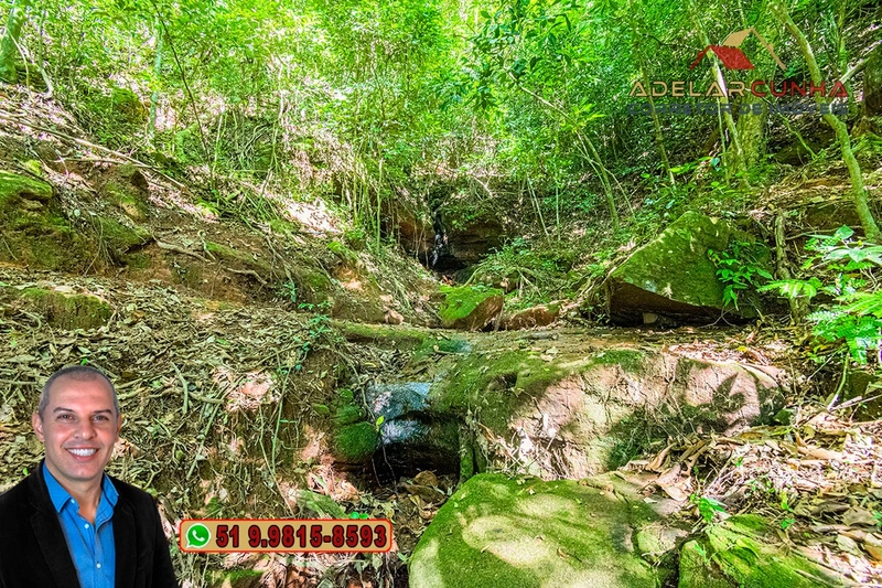Chácara com 4.8 hectares à VENDA em Lomba Grande - Novo Hamburgo - RS: 35ª foto da galeria de imagens do imóvel
