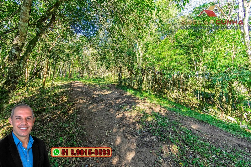 Chácara de 3 hectares à VENDA em Araricá - RS: 46ª foto da galeria de imagens do imóvel