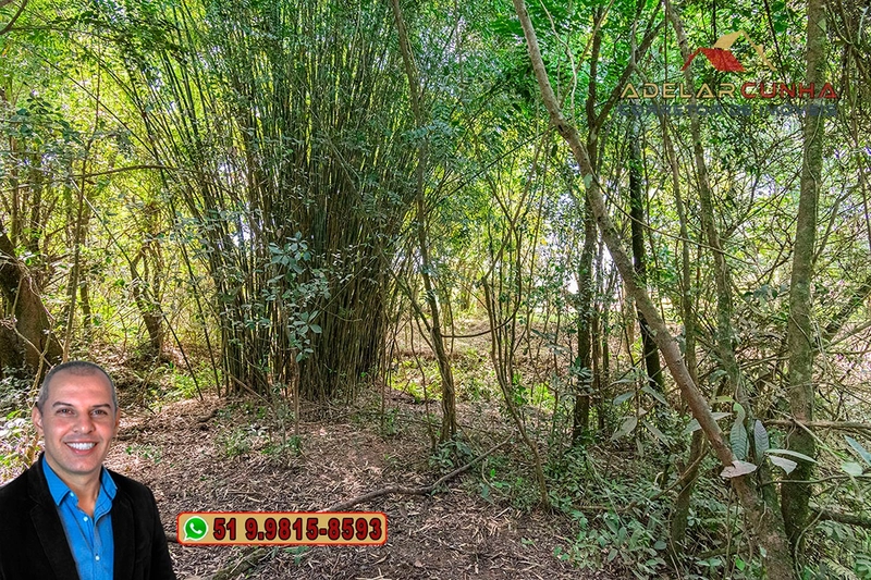 Chácara de 2 hectares com Casa à VENDA em Parobé – RS: 59ª foto da galeria de imagens do imóvel