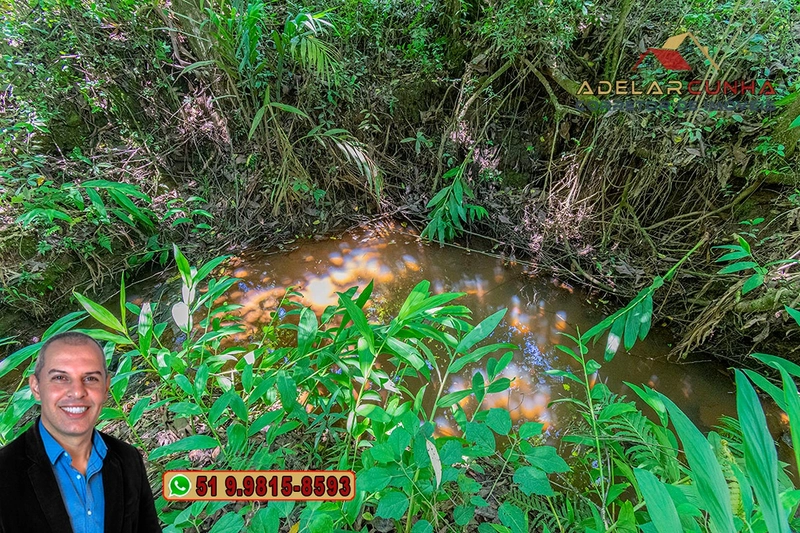 Chácara de 2 hectares com Casa à VENDA em Parobé – RS: 33ª foto da galeria de imagens do imóvel