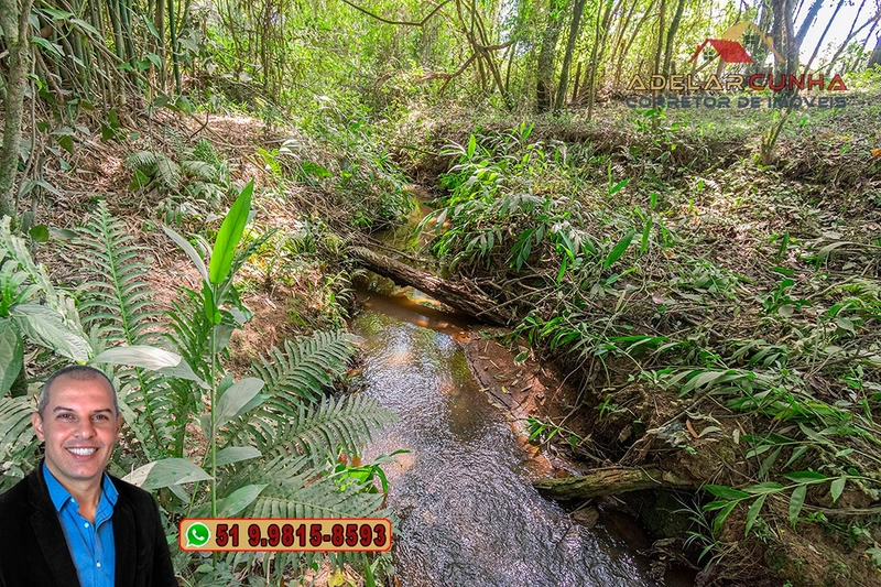 Chácara de 2 hectares com Casa à VENDA em Parobé – RS: 57ª foto da galeria de imagens do imóvel
