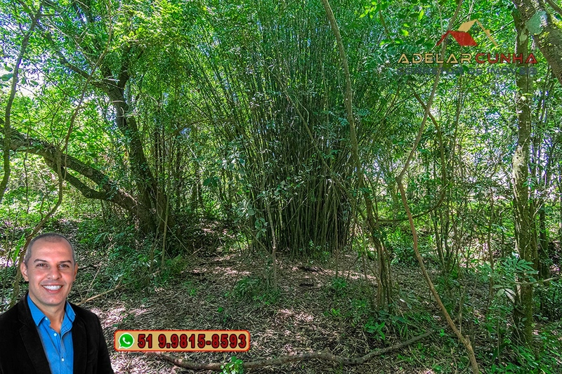 Chácara de 2 hectares com Casa à VENDA em Parobé – RS: 32ª foto da galeria de imagens do imóvel