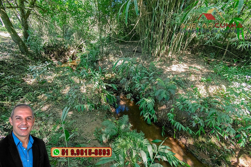 Chácara de 2 hectares com Casa à VENDA em Parobé – RS: 54ª foto da galeria de imagens do imóvel