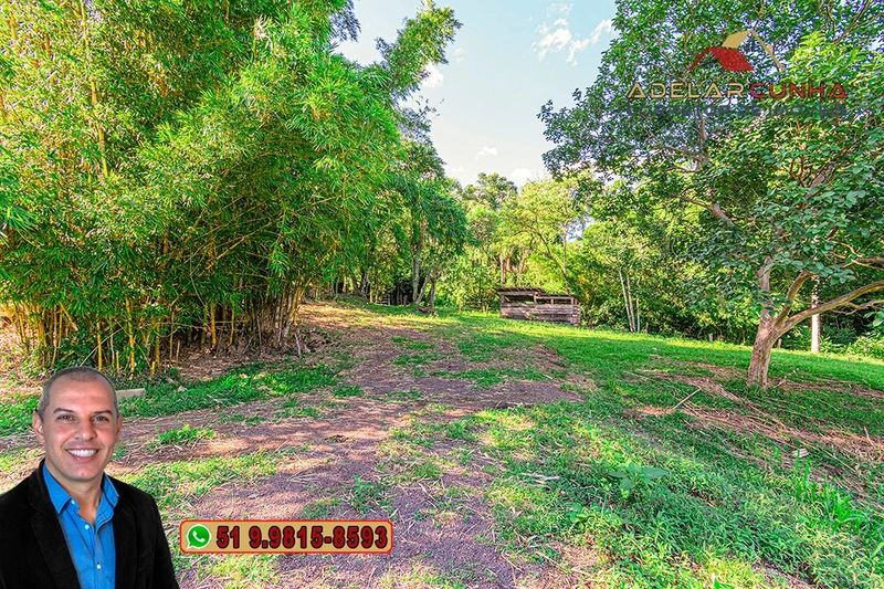 Chácara com Casa à Venda em Parobé-RS: 16ª foto da galeria de imagens do imóvel