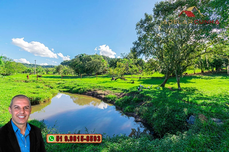 Chácara com Casa à Venda em Parobé-RS: 21ª foto da galeria de imagens do imóvel