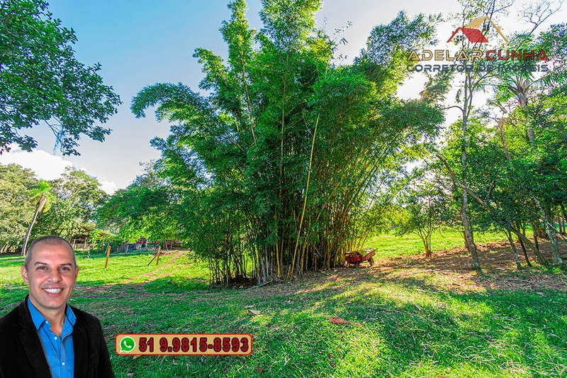 Chácara com Casa à Venda em Parobé-RS: 18ª foto da galeria de imagens do imóvel