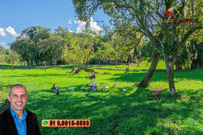 Chácara com Casa à Venda em Parobé-RS: 22ª foto da galeria de imagens do imóvel