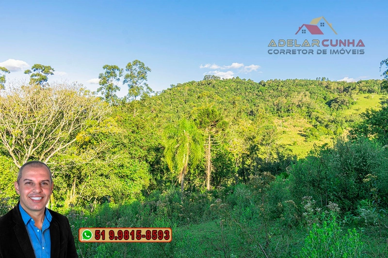 Sítio de 16 hectares à VENDA em Três Coroas/RS.: 21ª foto da galeria de imagens do imóvel