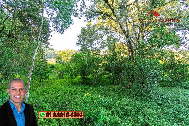 Sítio de 16 hectares à VENDA em Três Coroas/RS.: 20ª foto da galeria de imagens do imóvel
