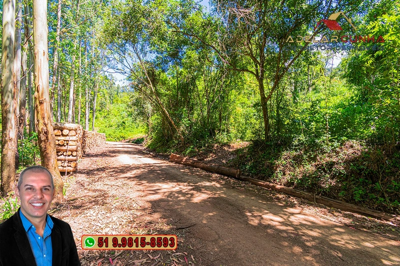 Sítio de 37.7 hectares à Venda em Três Coroas: 14ª foto da galeria de imagens do imóvel