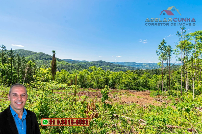 Sítio de 37.7 hectares à Venda em Três Coroas: 2ª foto da galeria de imagens do imóvel
