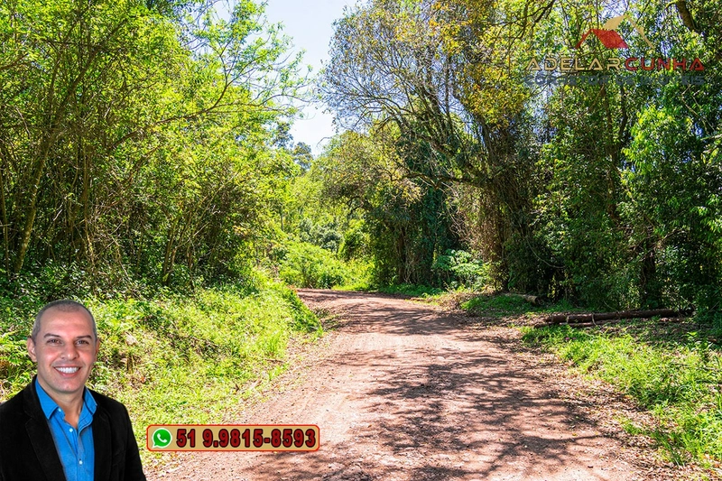 Sítio de 37.7 hectares à Venda em Três Coroas: 10ª foto da galeria de imagens do imóvel